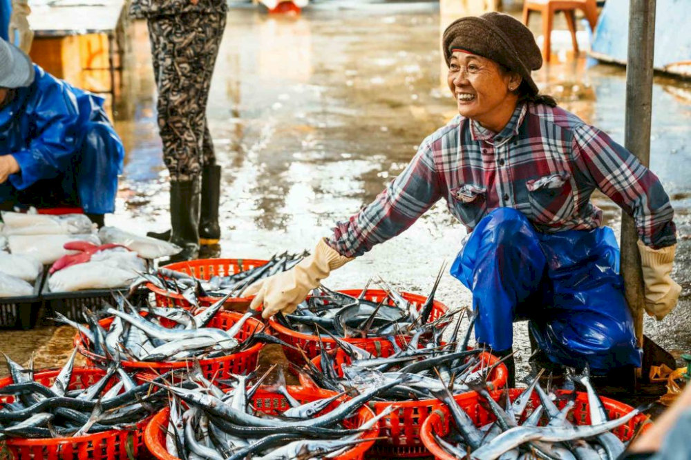 By day, the market bustles with activity as locals trade food and daily essentials - a vibrant hub of everyday life in Phu Quoc